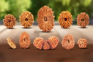 различни форми рудракши